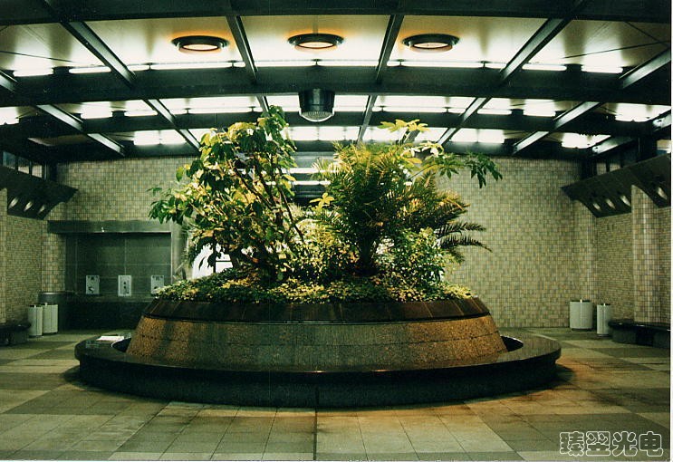 光導(dǎo)照明，光纖照明，室內(nèi)植物照射